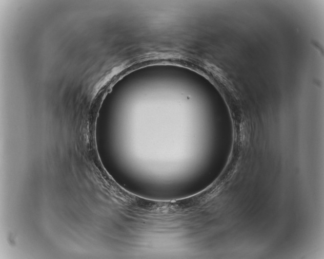 X0000101171165200807071215