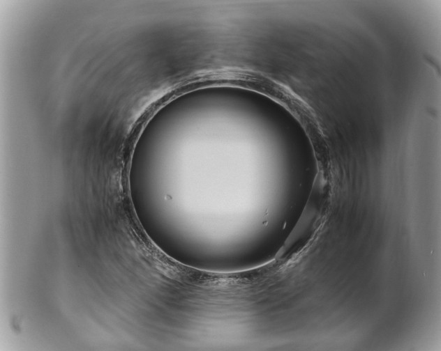 X0000101171166200807071215