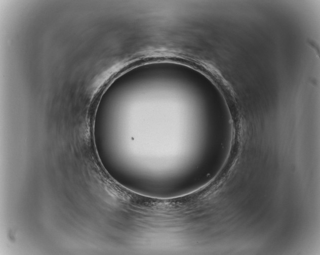 X0000101171167200807071215