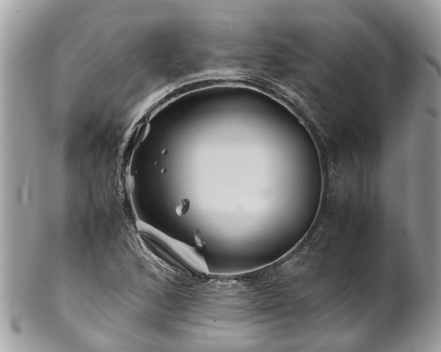 X0000101171168200807071215