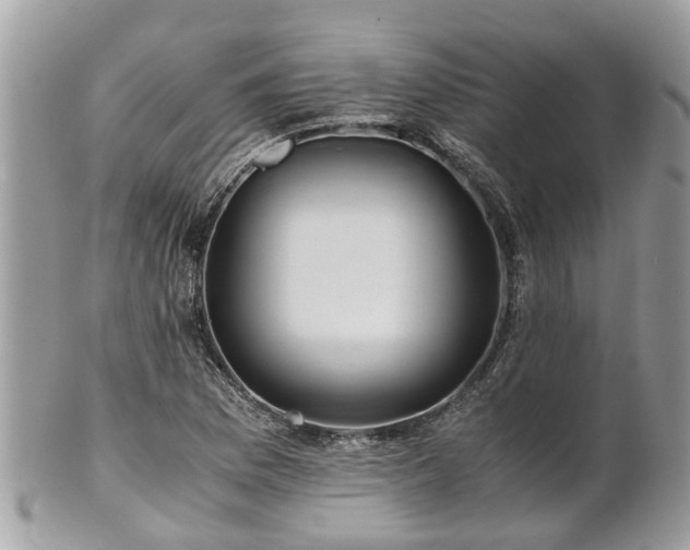 X0000101171169200807071215