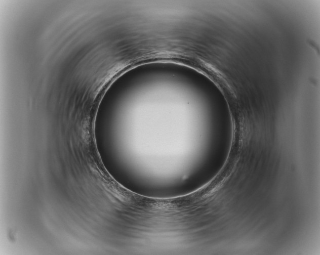 X0000101171170200807071215