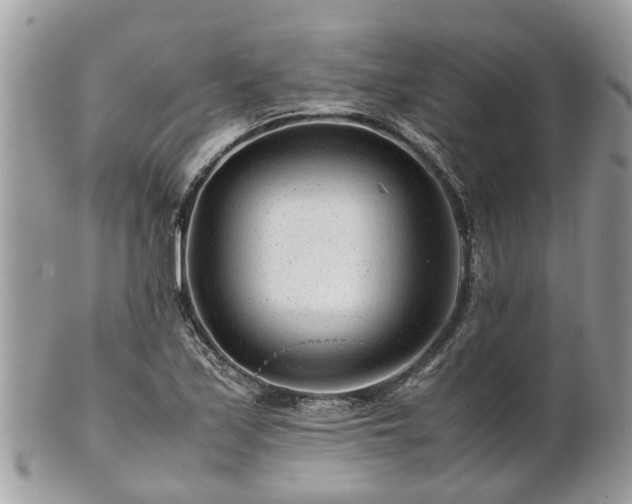 X0000101171171200807071215