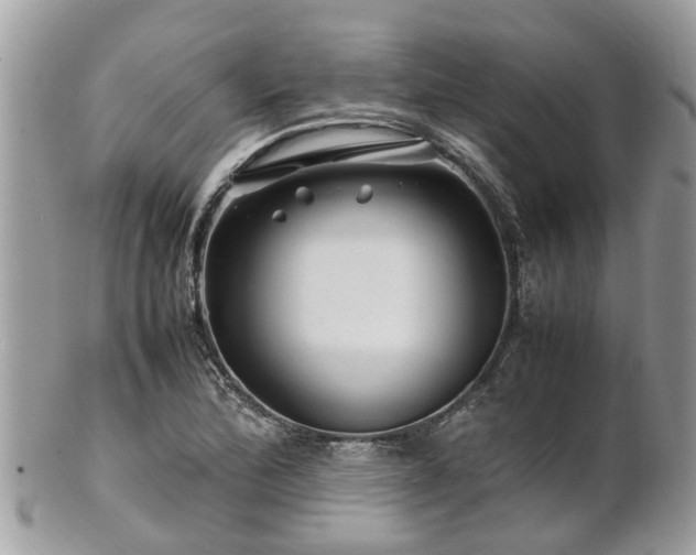X0000101171172200807071215