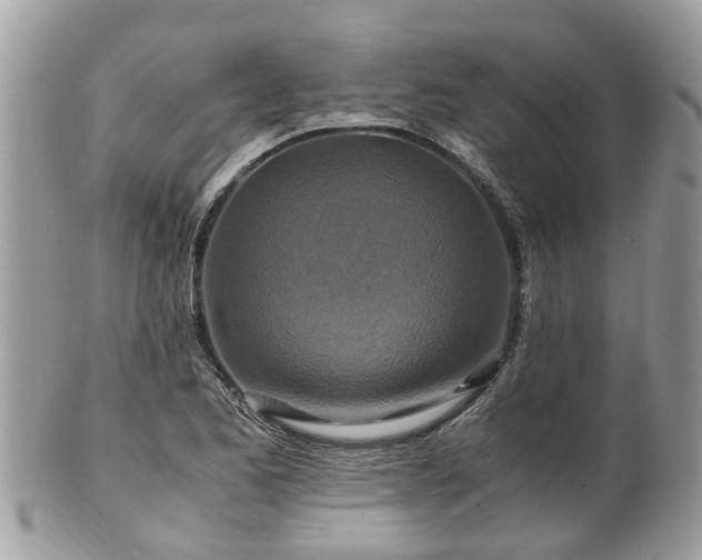 X0000101171173200807071215