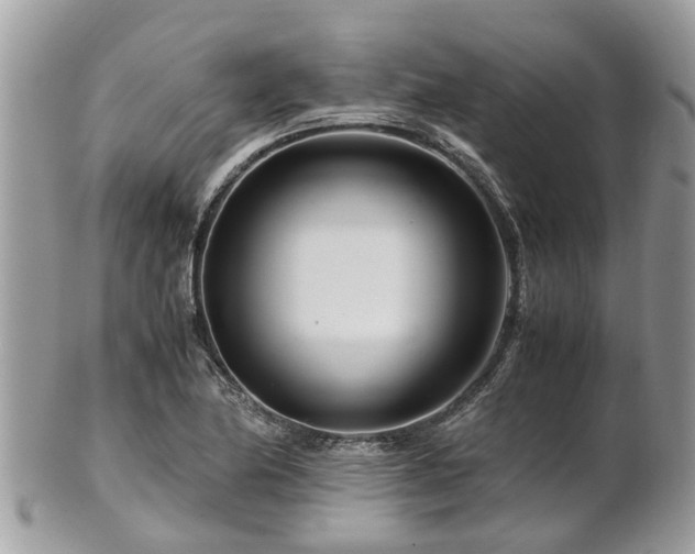 X0000101171174200807071215