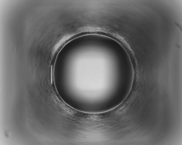 X0000101171175200807071215