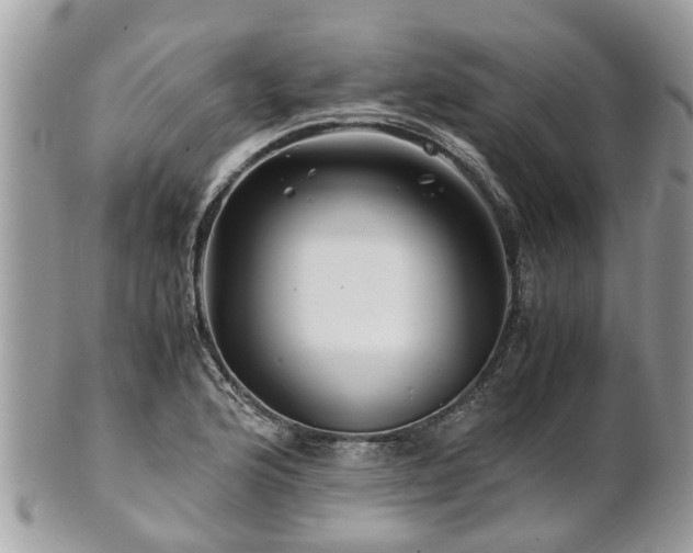 X0000101171176200807071214