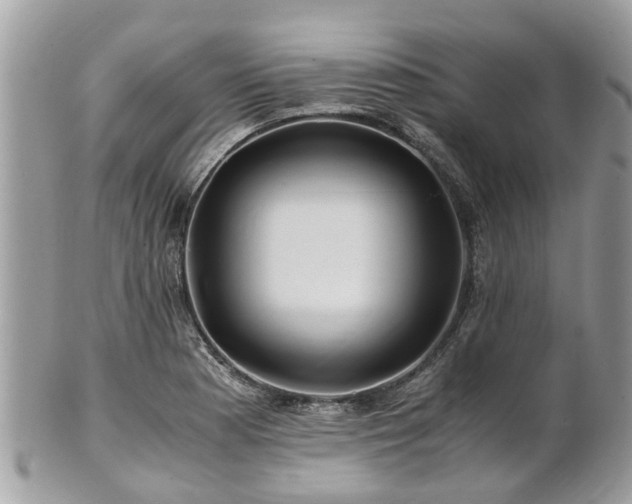 X0000101171177200807071214
