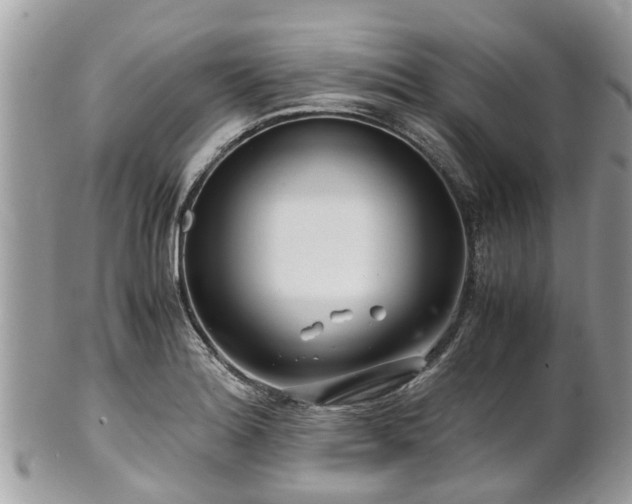 X0000101171180200807071214