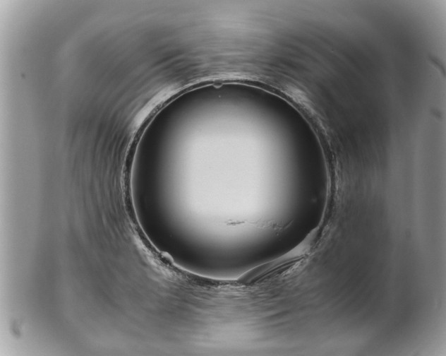 X0000101171181200807071214