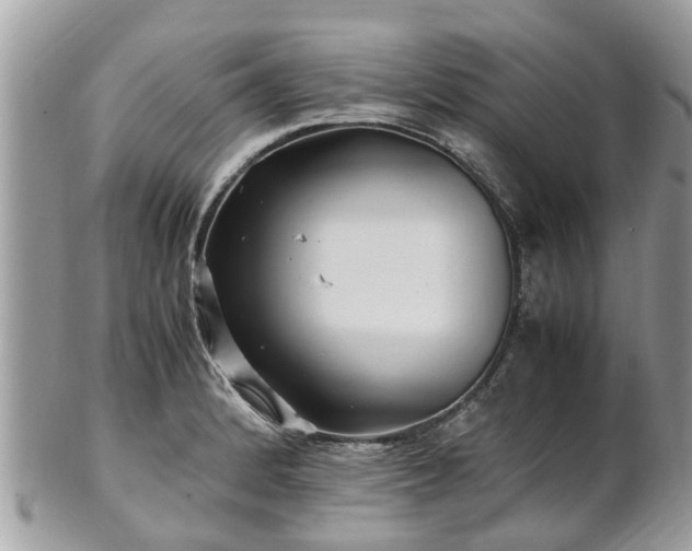X0000101171184200807071214