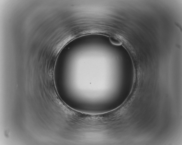 X0000101171185200807071214