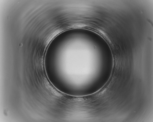 X0000101171186200807071214
