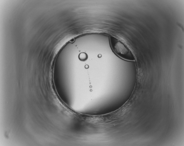 X0000101171187200807071214