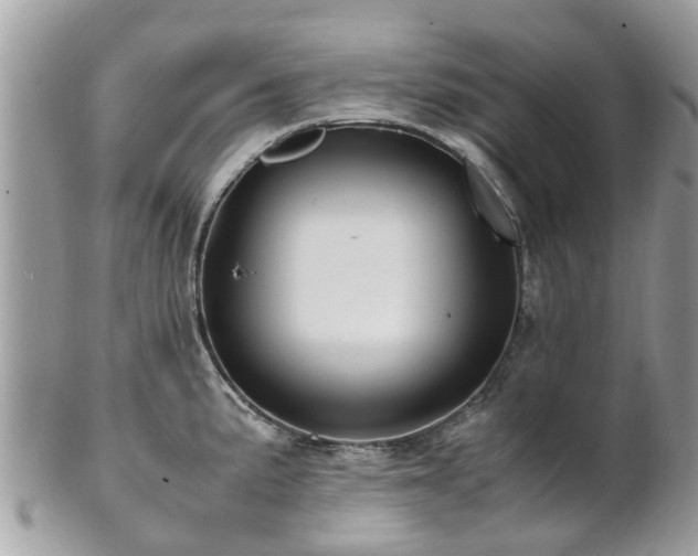 X0000101171191200807071214