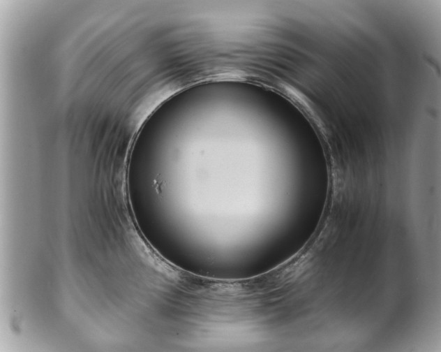 X0000101171194200807071214