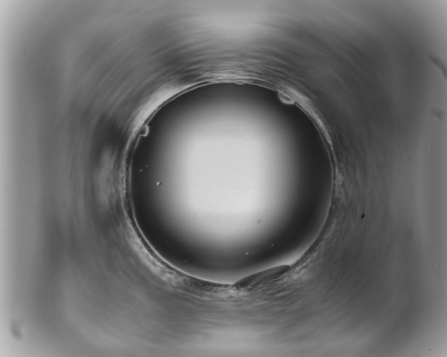 X0000101171195200807071214