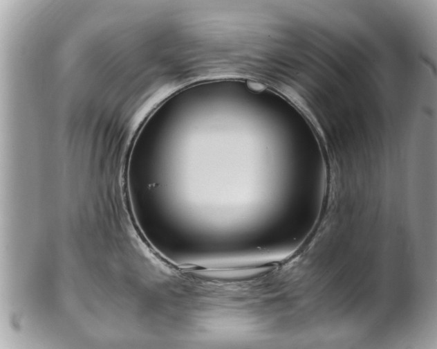 X0000101171197200807071214