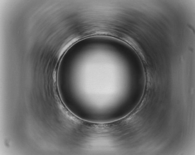 X0000101171198200807071214