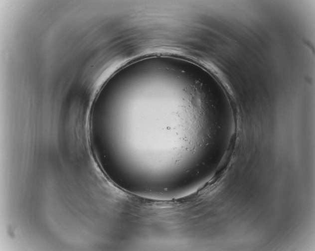X0000101171199200807071214