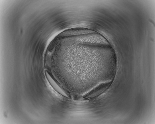 X0000101171200200807071214