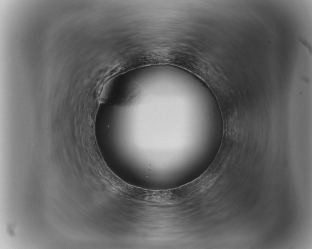 X0000101171201200807071213