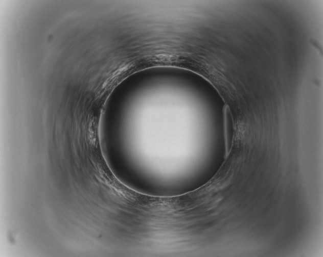 X0000101171202200807071213