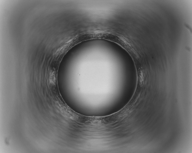 X0000101171204200807071214