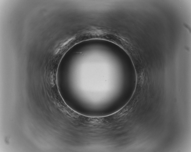 X0000101171205200807071214