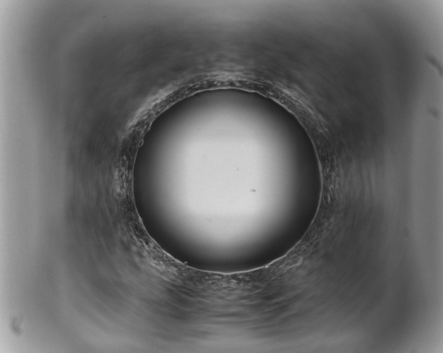 X0000101171207200807071214