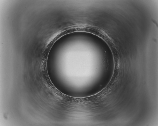 X0000101171208200807071214