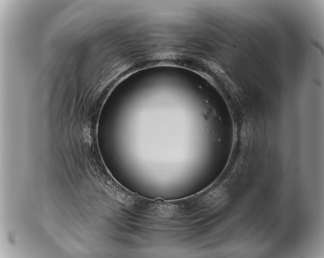 X0000101171209200807071214