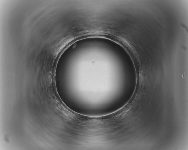 X0000101171212200807071214