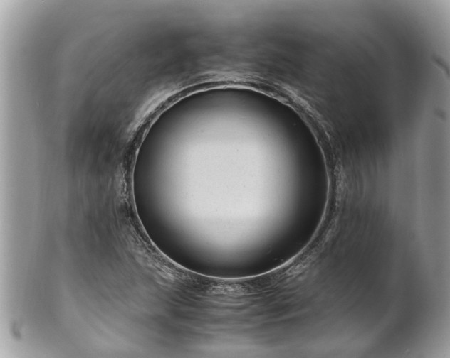 X0000101171215200807071214