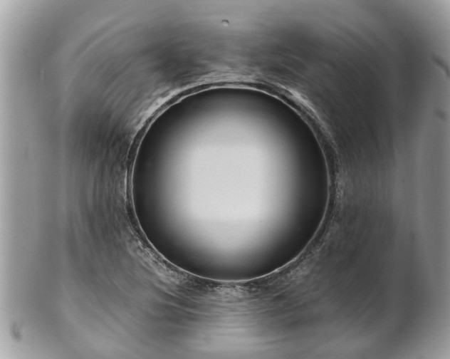 X0000101171220200807071214