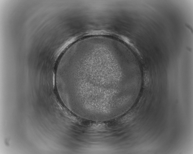 X0000101171221200807071214