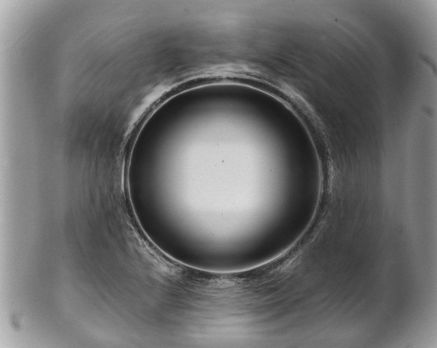 X0000101171224200807071214
