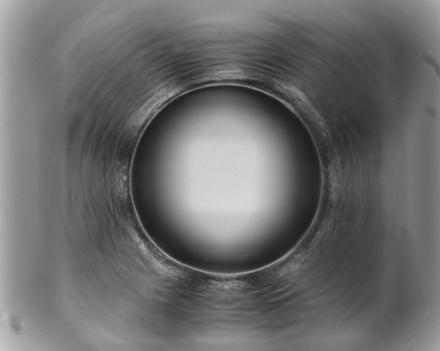 X0000101171225200807071214