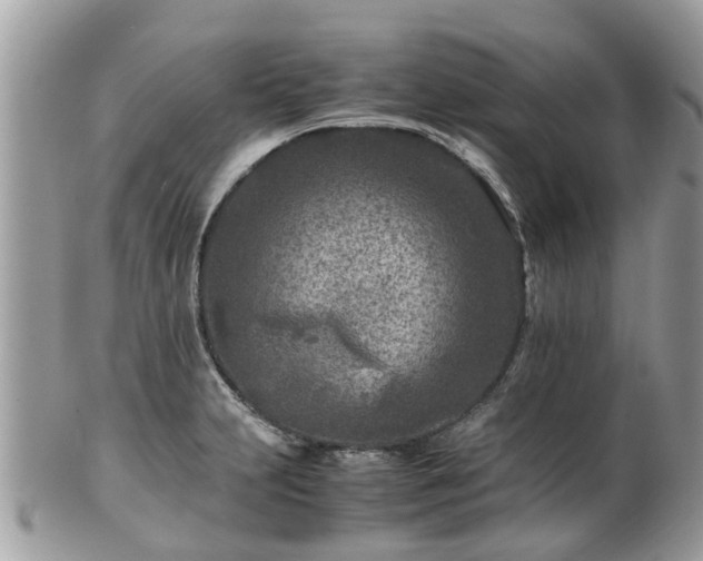 X0000101171231200807071214