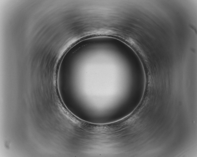 X0000101171232200807071214