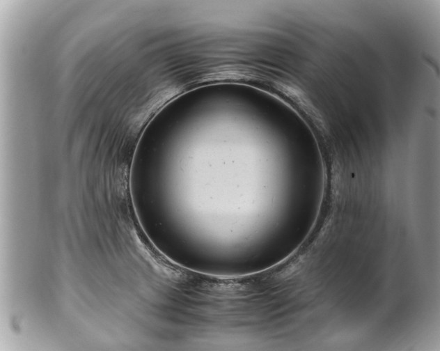 X0000101171233200807071214