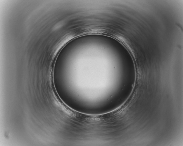 X0000101171235200807071214