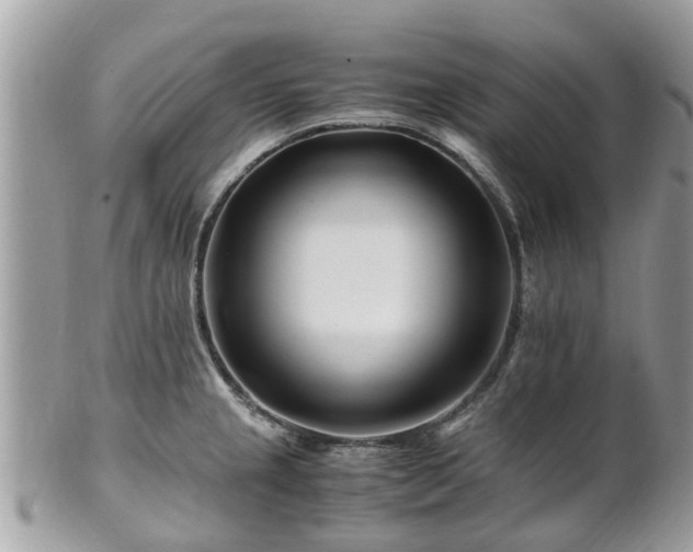 X0000101171237200807071214