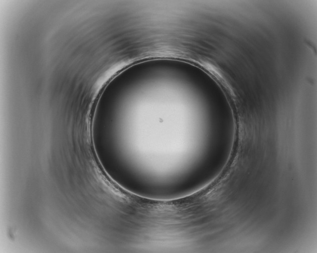 X0000101171238200807071214