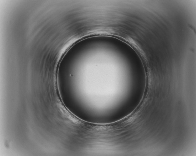 X0000101171240200807071214