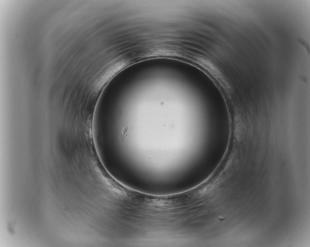 X0000101171241200807071214