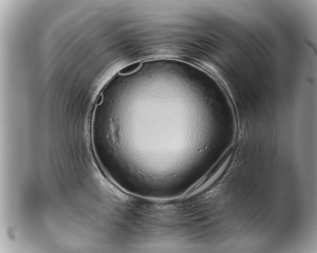 X0000101171243200807071214