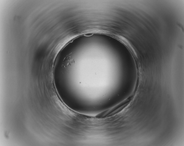 X0000101171244200807071214