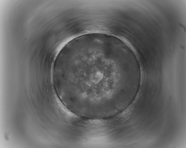 X0000101171246200807071214